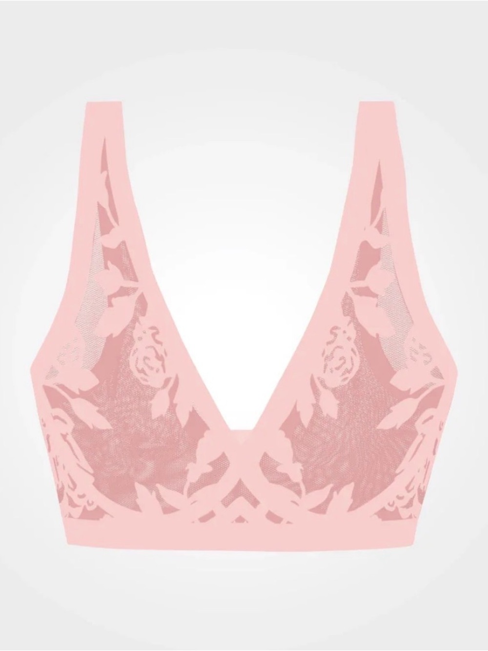Eby sheer bralette and brief - madam bisou set